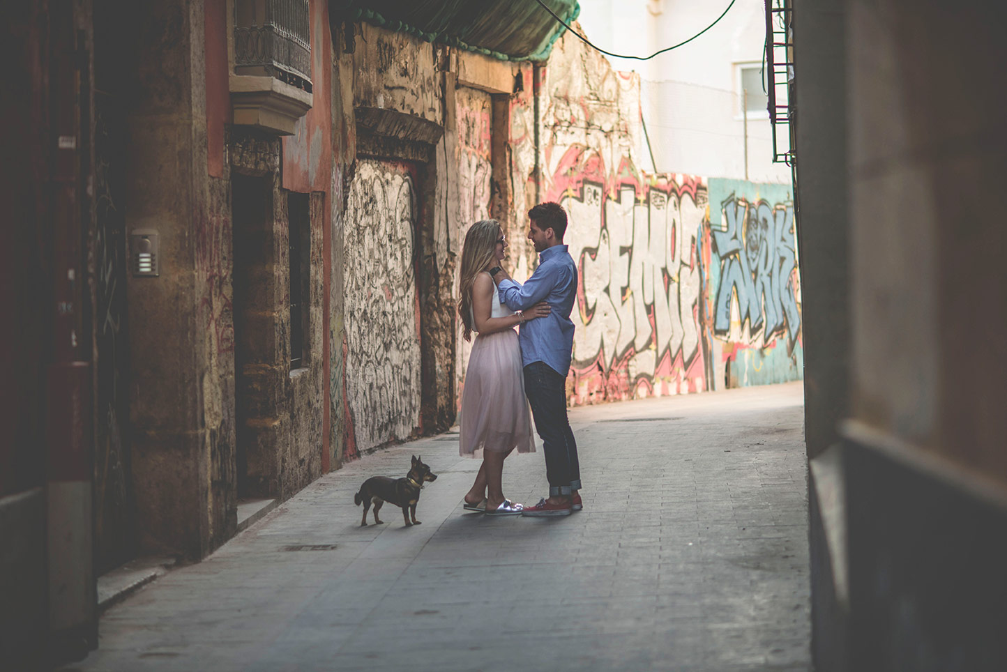 -LARA-MIGUEL-perrito-calle
